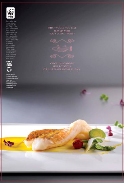 WWF Singapore: Enter the World of Sustainable Seafood, Coral trout