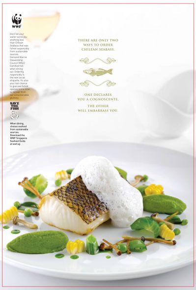 WWF Singapore: Enter the World of Sustainable Seafood, Seabass